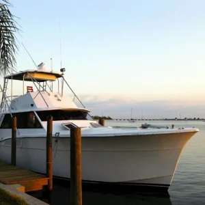 new dock2