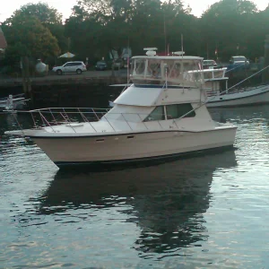 IMG00124-20100730-1943