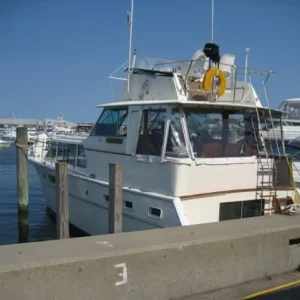 OB 2009