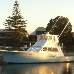 Moreton Bay