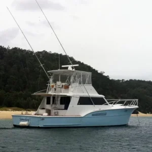 Moreton Bay