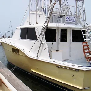 The Boat