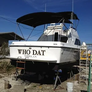 WHO DAT new paint