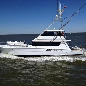 Slow Cruise