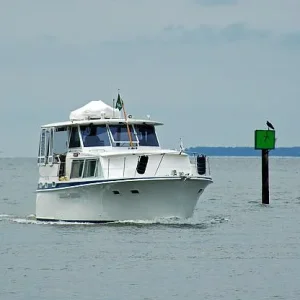 dsc 0001 crop