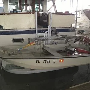 transom davit