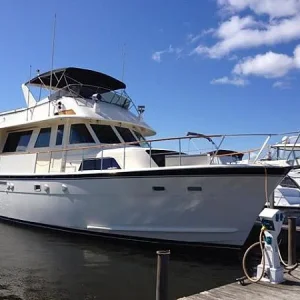 Nightingale in Alpena Mich.