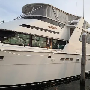 In the new slip