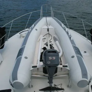 Two part davit.