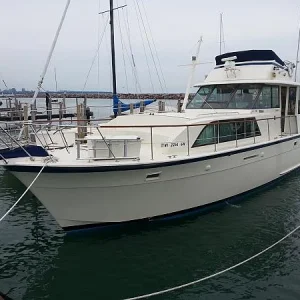 miss suzanne 43dc