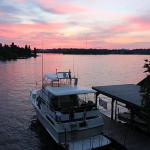 img 0695