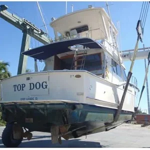 Top Dog