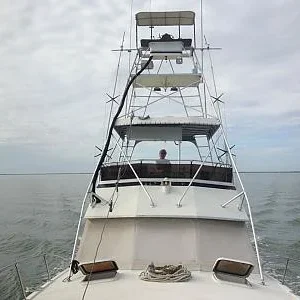 Open Hatch