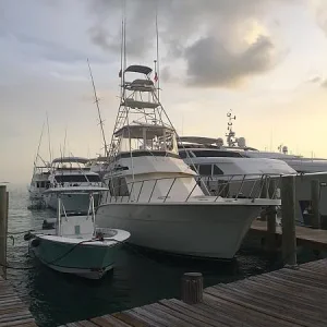 img 3633