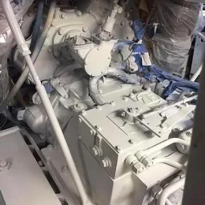 During and After