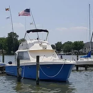 marina 2017