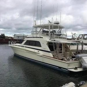 Bertram 60
