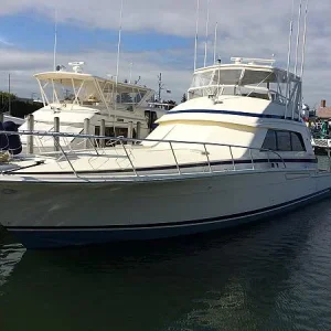 Bertram 60
