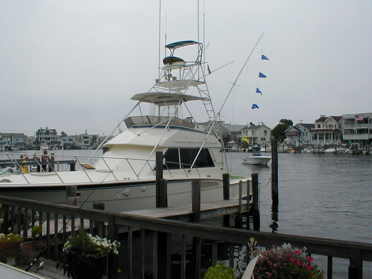45' 1985 Polarizer