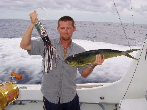 BRAVE FISH