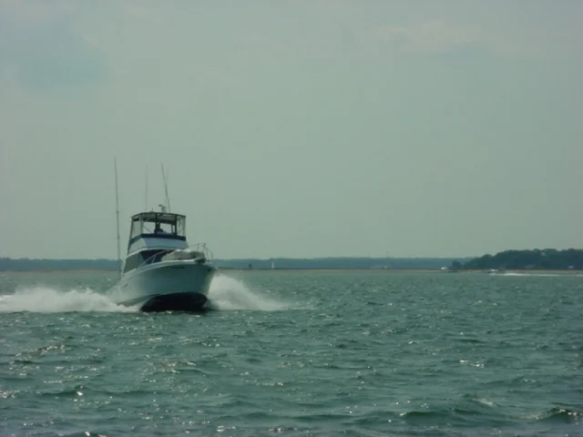 Cruising