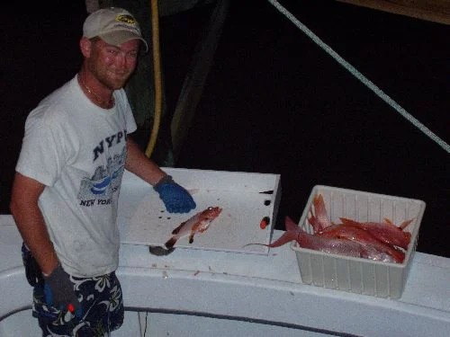 DINNER