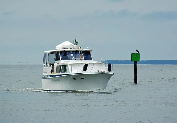 dsc 0001 crop