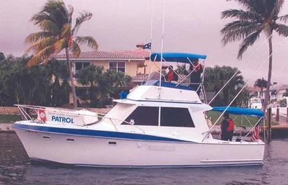 ELECTRA VI