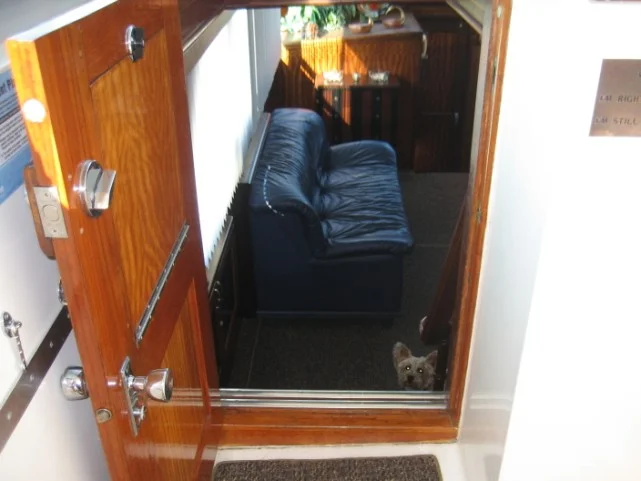From The Helm Into The Salon