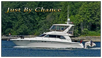 justbychance 2011sig