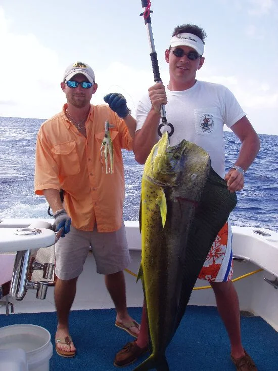 MAHI