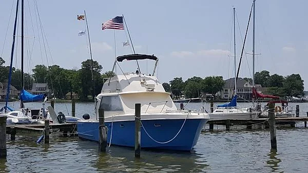 marina 2017