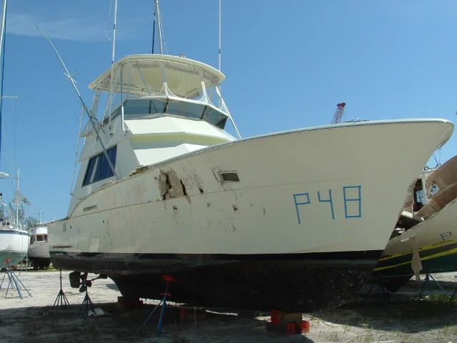 needs TLC