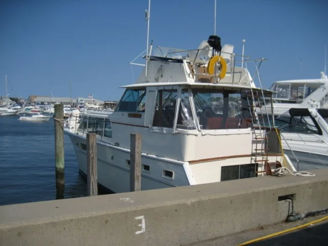 OB 2009