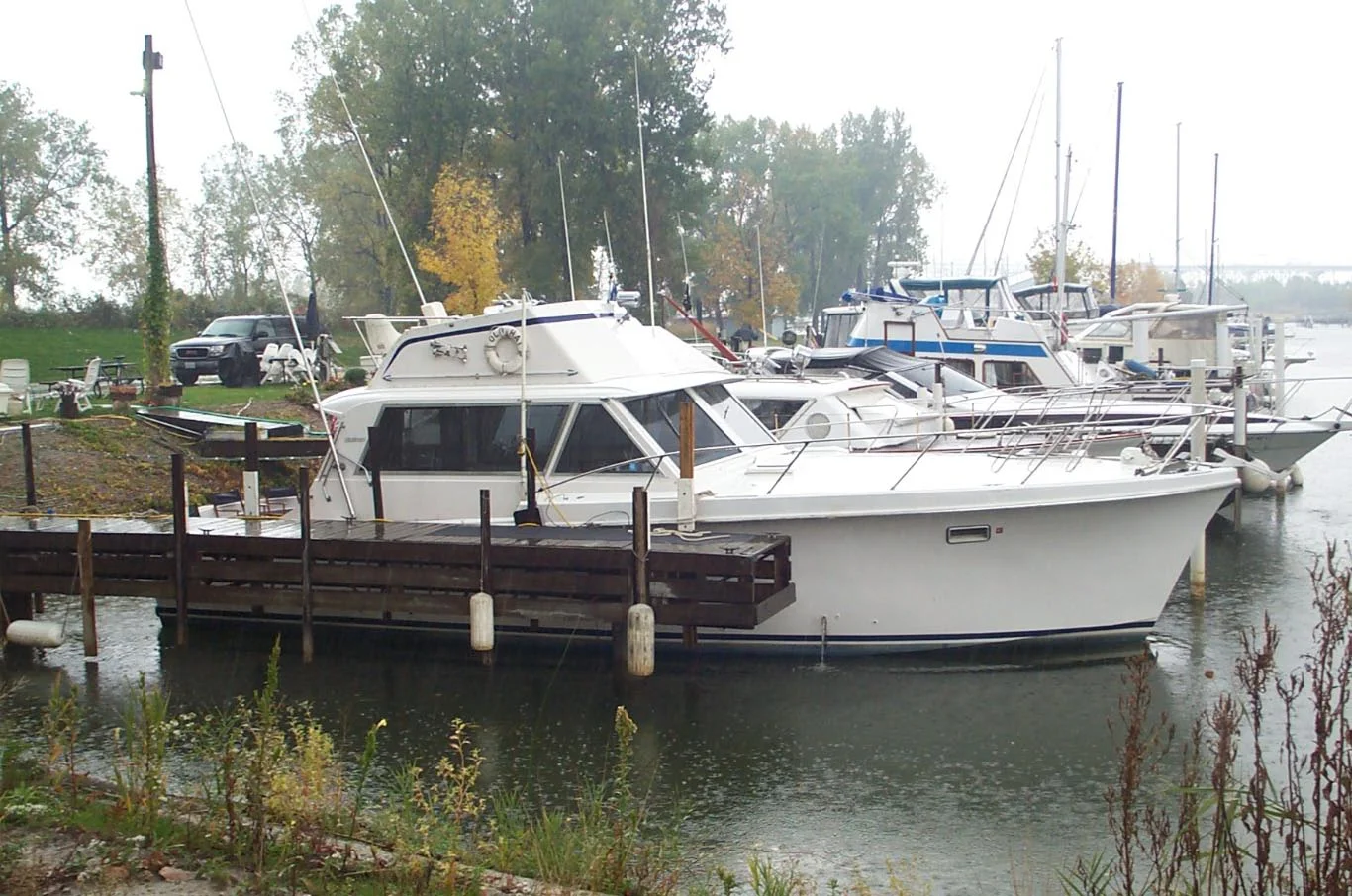side_view_of_41C